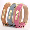 Personalisiertes Leder-Hundehalsband mit graviertem ID-Tag