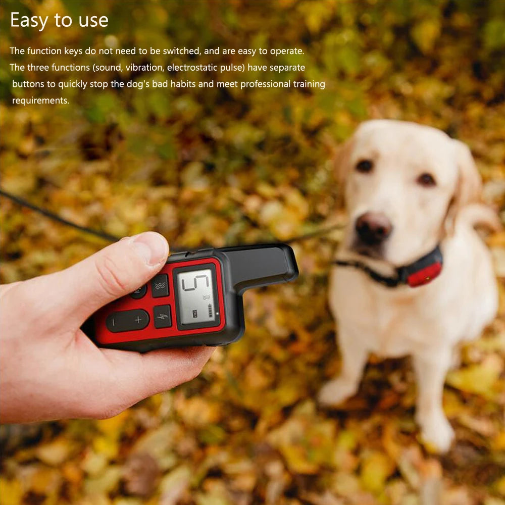 A hand holds a black remote dog training collar with an LCD display, next to a light-colored dog outdoors.