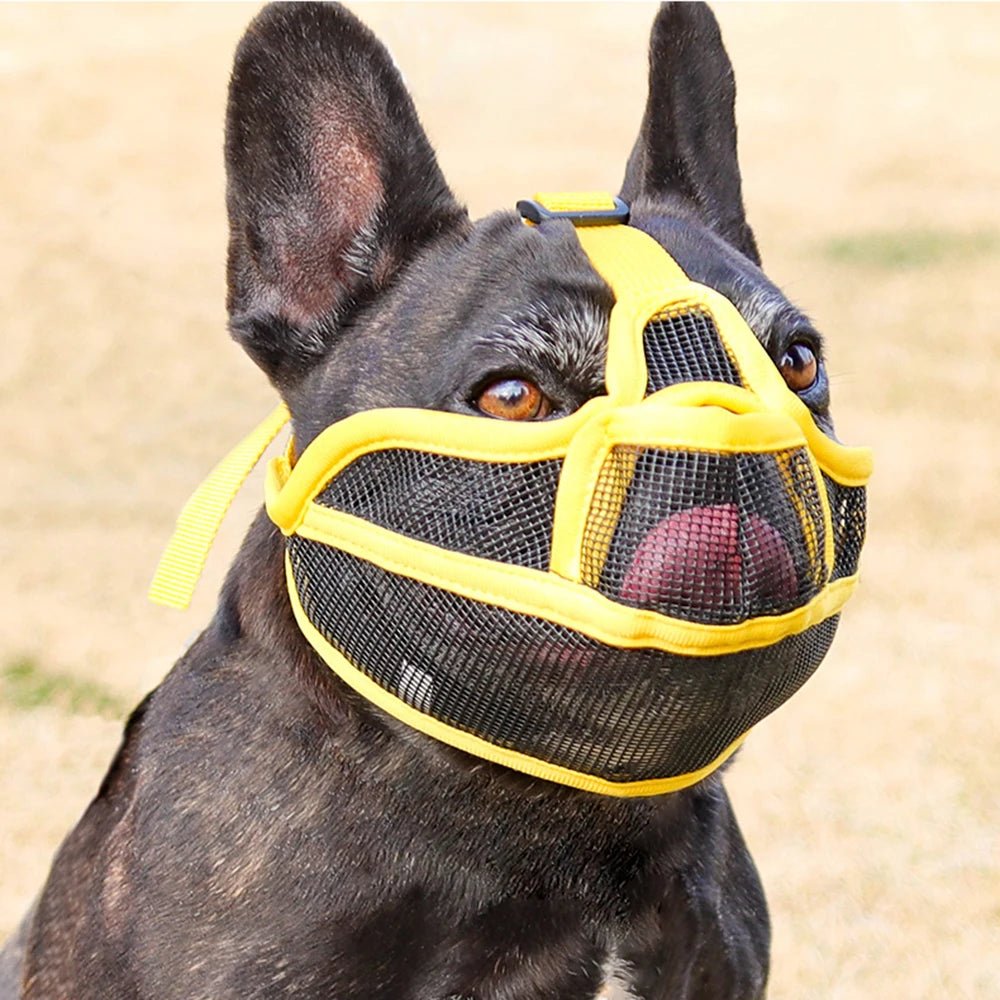 A dark-colored dog wearing a yellow nylon muzzle for short-nosed breeds.