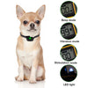 Waterproof Remote Dog Training Collar with Rechargeable Battery