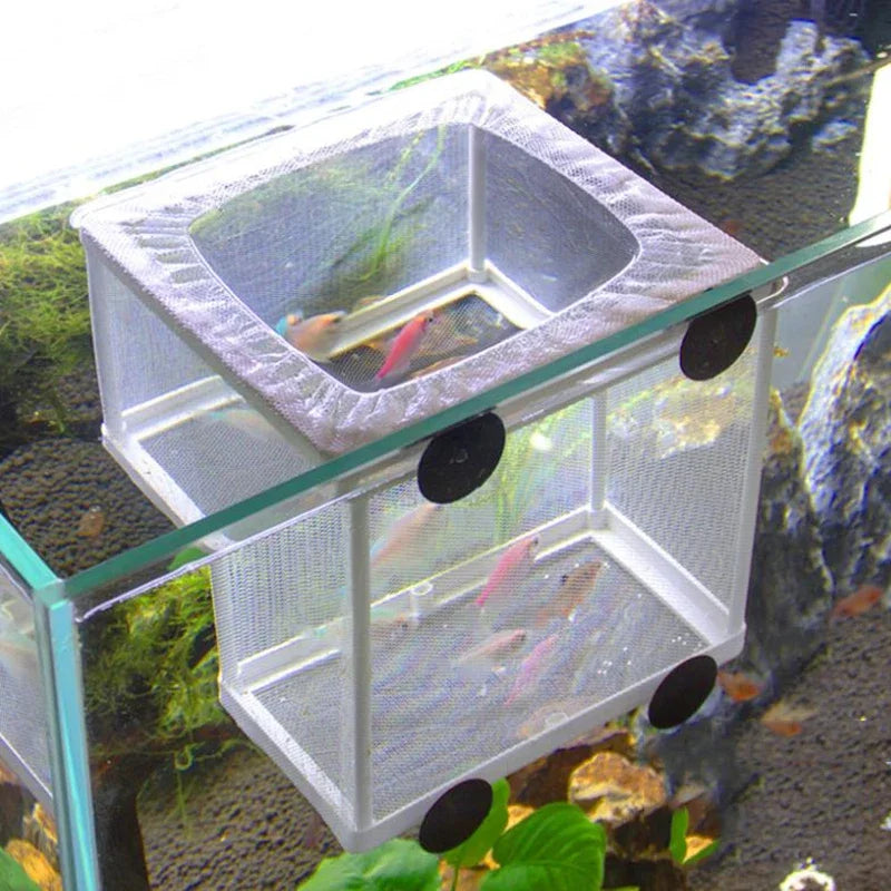 Aquarium Fish Breeding Isolation Box with Suction Cups