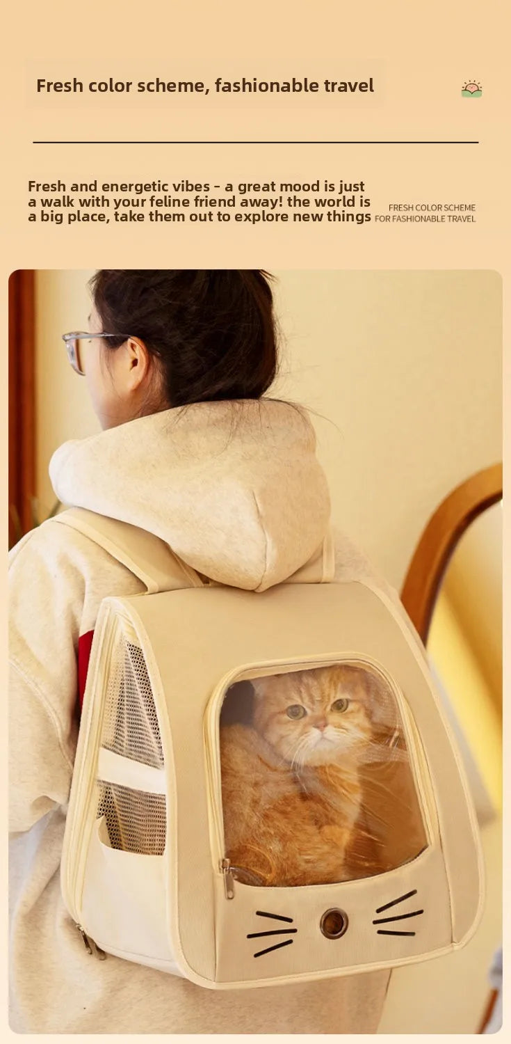 Eine Person trägt einen beigen, faltbaren Hundetransporter-Rucksack mit transparentem Fenster, in dem eine Katze ist.