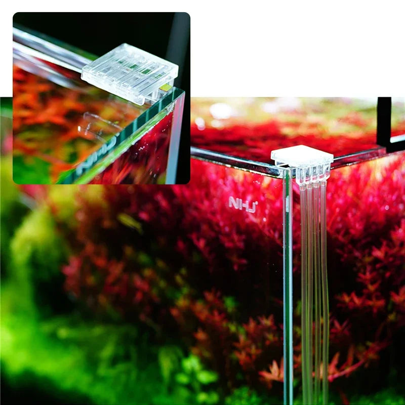 Kit de Bouteilles pour Pompe Doseuse d'Aquarium avec Support en Acier Inoxydable
