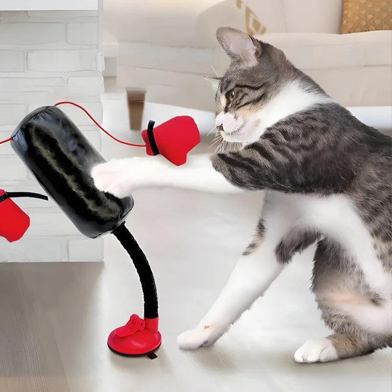 Eine tabbyartige Katze spielt mit einem interaktiven Box- und Kratzspielzeug mit roten und schwarzen Komponenten.