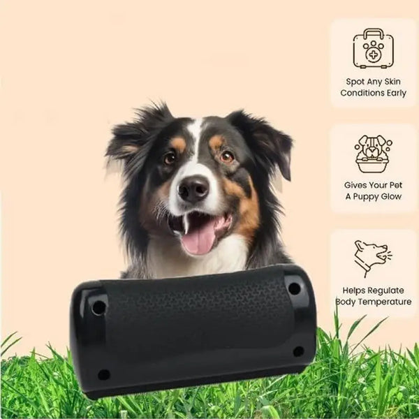 Pet Deshedding Brush for Dogs and Cats Grooming
