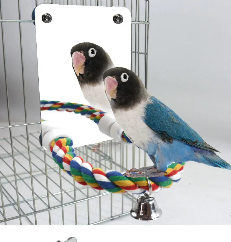 Interactive Parrot Activity Station with Mirror and Rope Perch