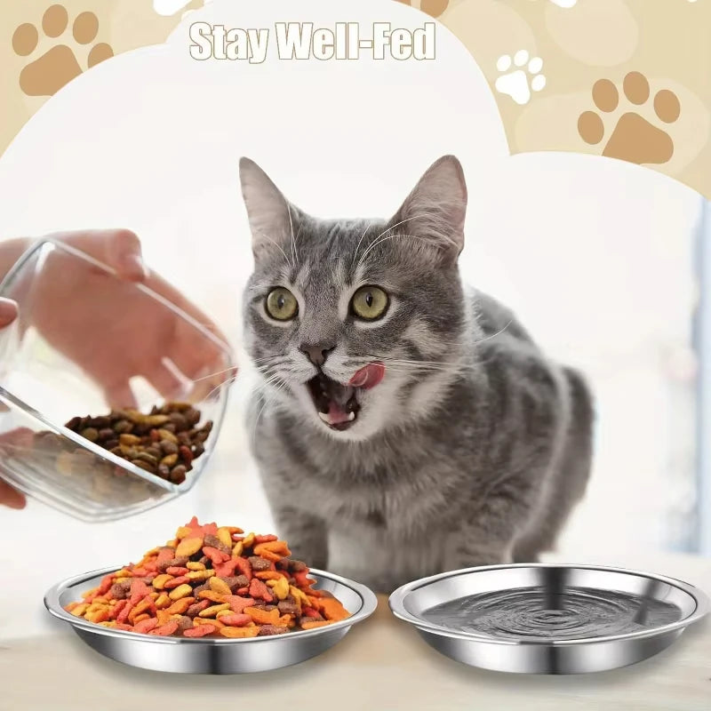 A gray cat is shown near a stainless steel bowl set for feeding, with dry pet food visible.