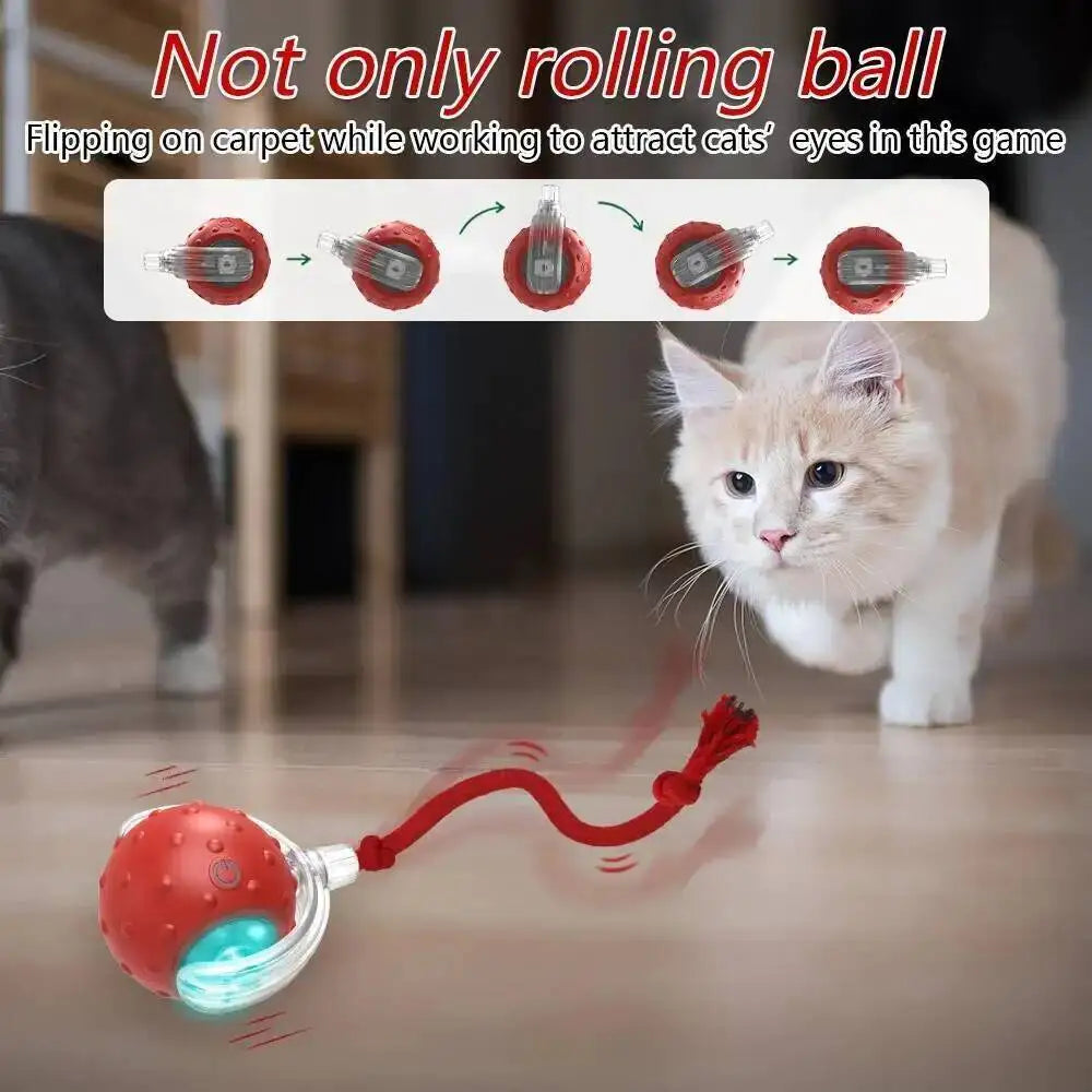 Motion-Activated Cat Toy Ball with Bird Chirping Sounds