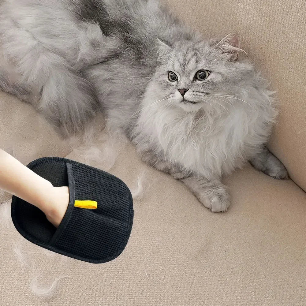 Ein flauschiger grauer Kater liegt auf einer Oberfläche, während eine Hand mit schwarzem Tierhaar-Entfernungshandschuh in der