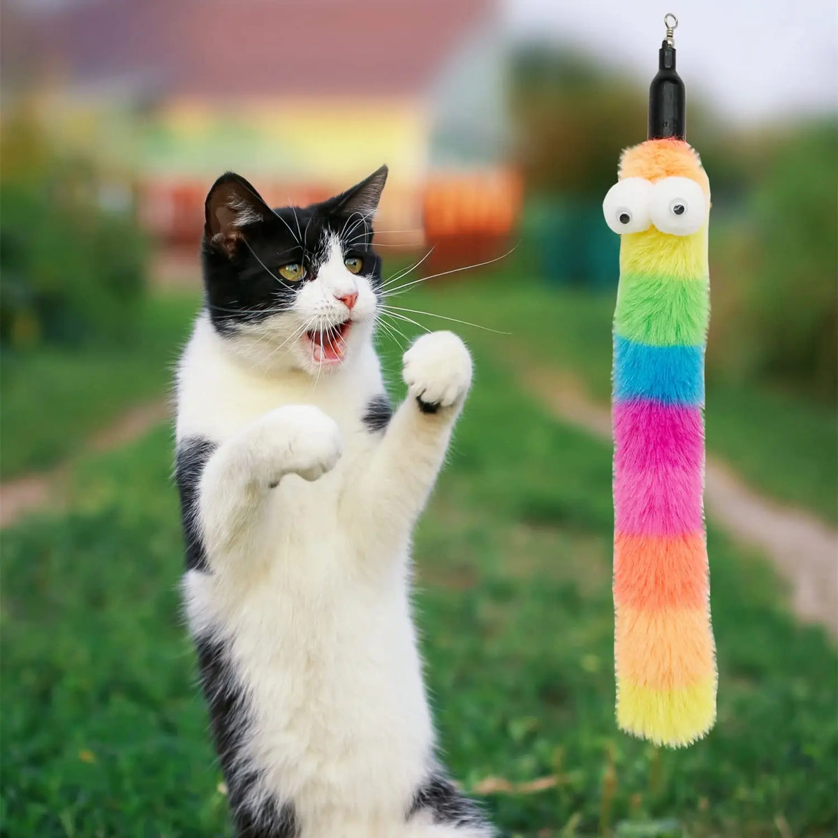 A black and white cat is batting at a colorful, fuzzy toy wand with feather worms.