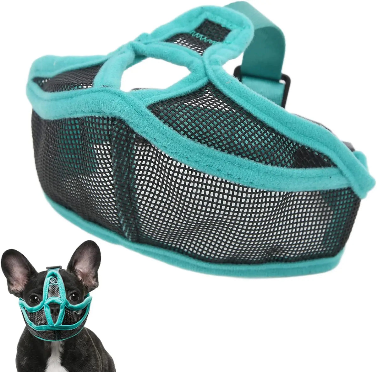 A teal mesh dog muzzle with a black strap is shown next to a small black and white dog wearing a similar blue mesh muzzle.