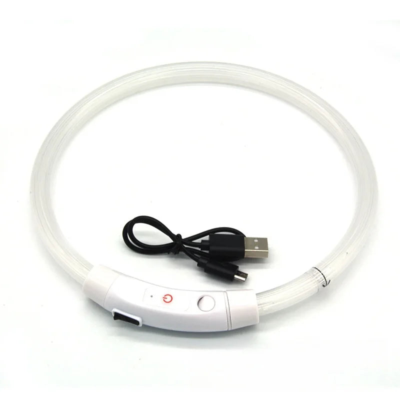 USB-aufladbarer LED-Hundehalsband