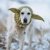Ein weißer Hund mit einer gestrickten grünen Ohrendocher in einer verschneiten Außenumgebung.