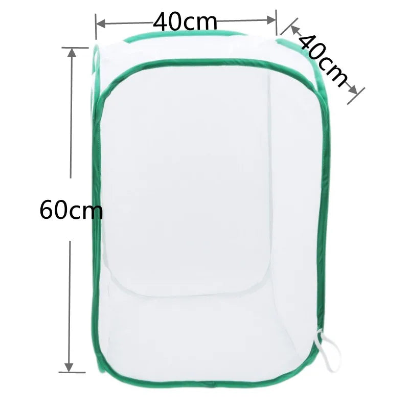 A transparent mesh insect breeding cage with green trim and dimensions of 40cm by 40cm.