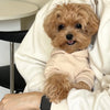 Sudadera de Fleece con Estampado de Oso de Peluche para Perros
