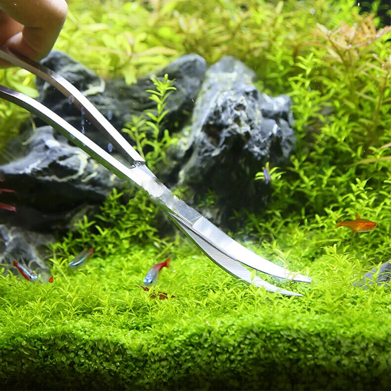 Stainless Steel Aquarium Tool Set with Scissors, Tweezers, and Shovel