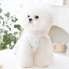 Princess-Style Dog Dress with Bow and Butterfly Skirt