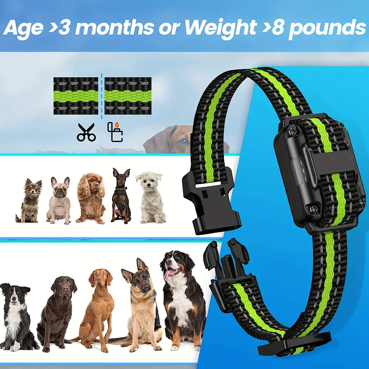 Rechargeable Dog Training Collar with Remote, Vibration, and Light