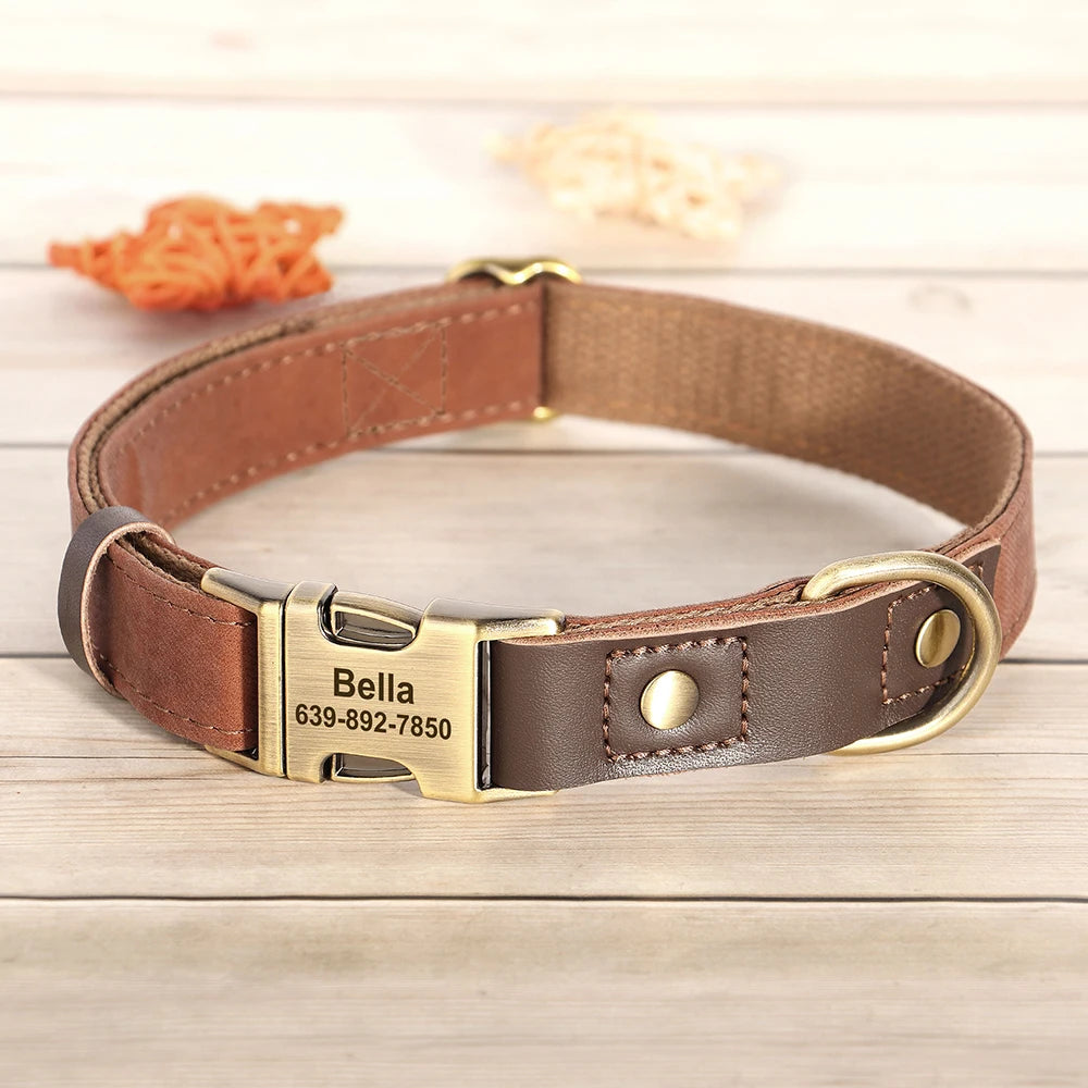 A brown leather dog collar with a brass buckle and an ID tag engraved with Bella 639-892-7850 is displayed on a light wooden 