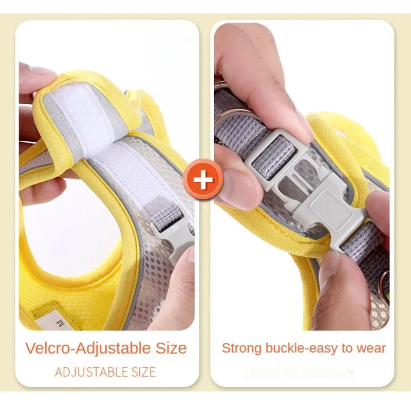 Yellow Velcro adjustable pet harness and leash set shown being worn by a hand