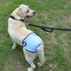 Reusable Dog Diapers for Heat Cycles and Incontinence