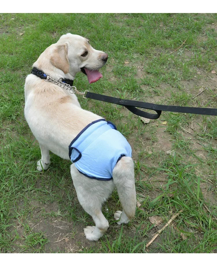 Reusable Dog Diapers for Heat Cycles and Incontinence