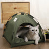 Un chat gris et duveteux se repose dans un lit de tente pour animaux en tissu vert sur une surface en bois.