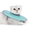 A fluffy gray cat wearing a light blue veterinary recovery collar.