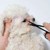 Pet Facial Grooming Kit – Tear Stain Comb & Safety Scissors