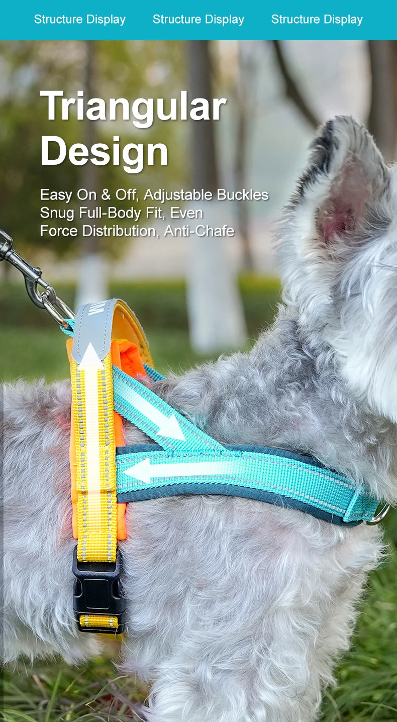 A dog wearing a gray harness with bright yellow and blue reflective straps outdoors.