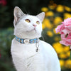 Personalisierte Katzenhalsband mit gedrucktem Design und graviertem ID-Anhänger