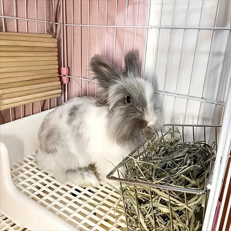 Ein flauschiges graues und weißes Kaninchen ruht in einem Metall-Heubedarfregal in einem Drahtkäfig.
