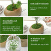 Natural Green Preserved Moss for DIY Crafts and Decor