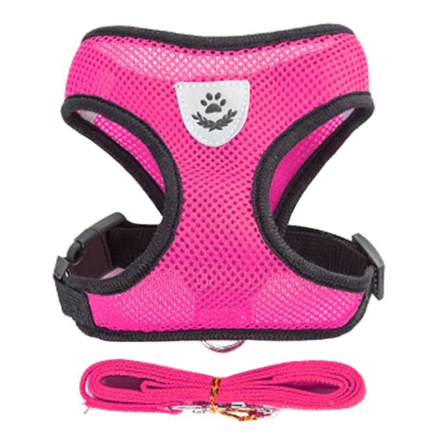 Pink mesh pet harness and leash set with a silver paw print emblem