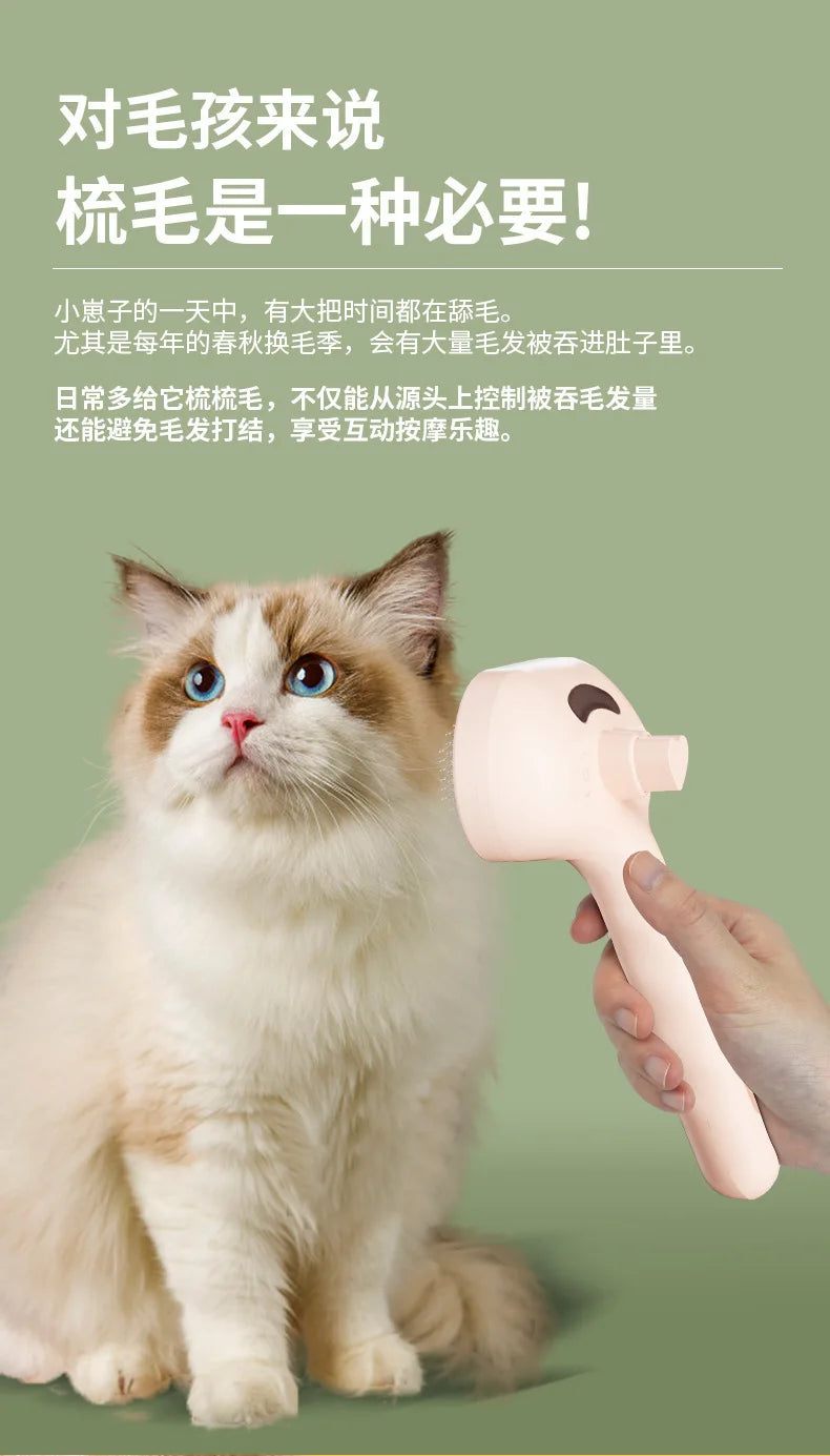 Eine Person benutzt ein rosa Pflegewerkzeug auf einer flauschigen orange-weißen Katze.