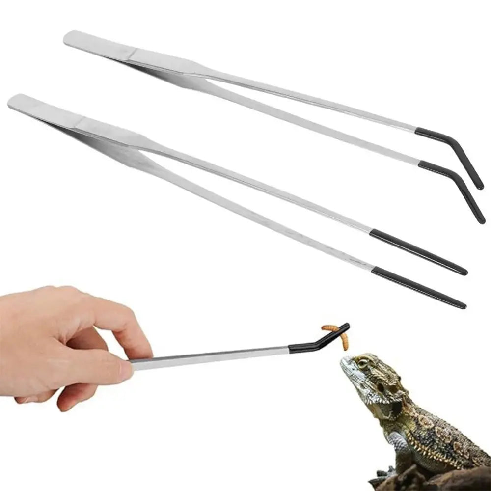 A pair of stainless steel aquarium feeding tweezers are shown next to a hand and a lizard.