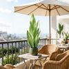 Artificial Snake Plant Decorative Faux Sansevieria