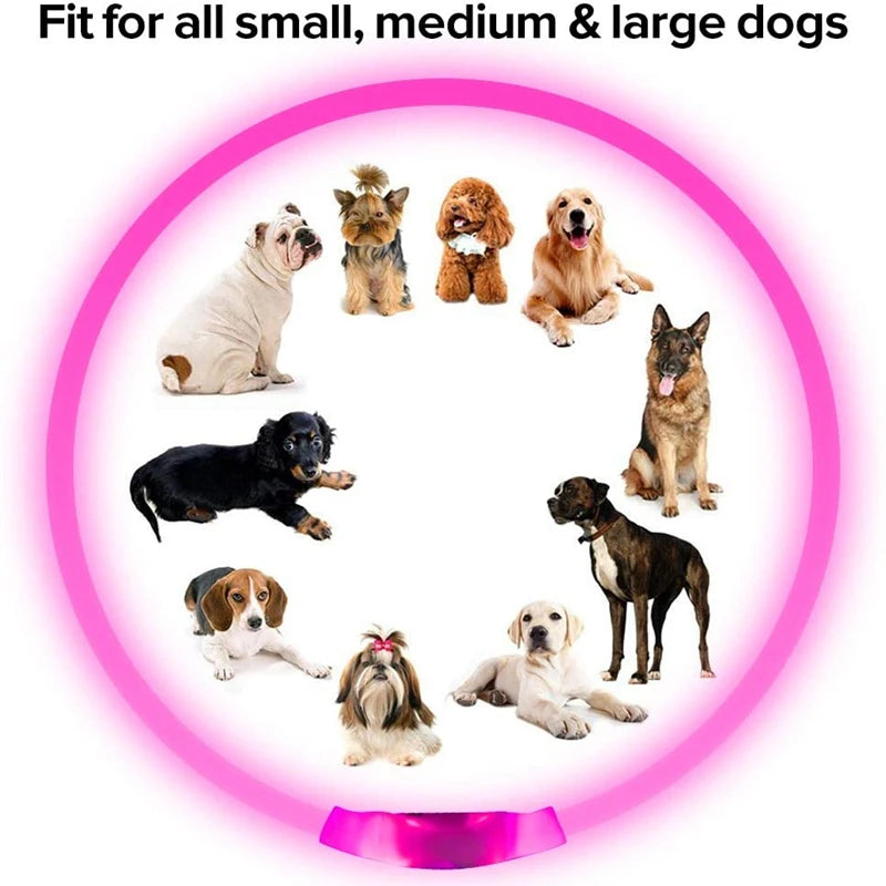 Rechargeable LED Dog Collar with USB Charging