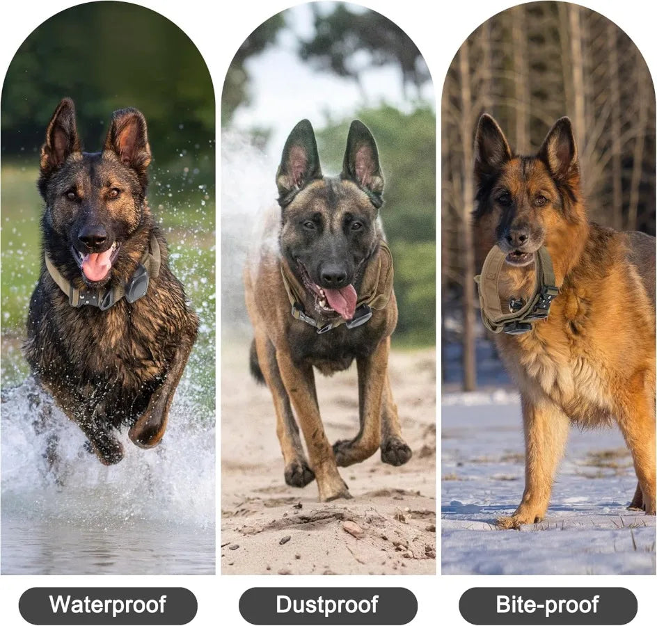 Three images showing a waterproof, dustproof, and bite-proof tactical dog collar in action.