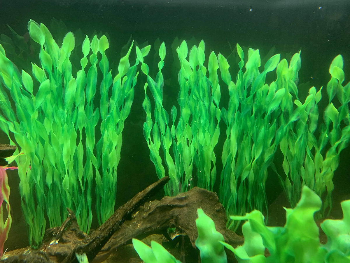 Artificial Aquarium Plants with Ceramic Base
