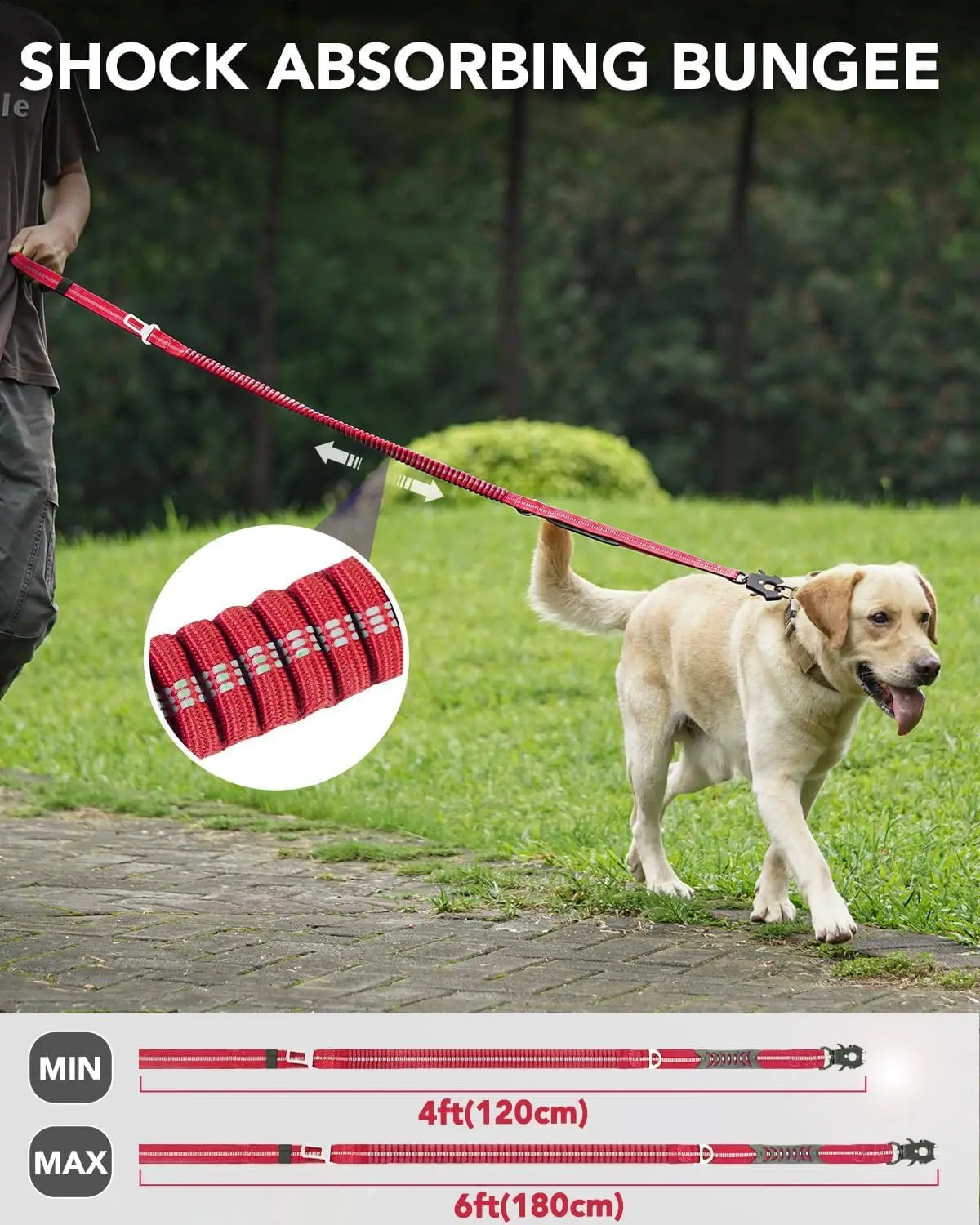 A dog is walking on a leash, demonstrating the shock absorbing bungee feature of the heavy duty leash.