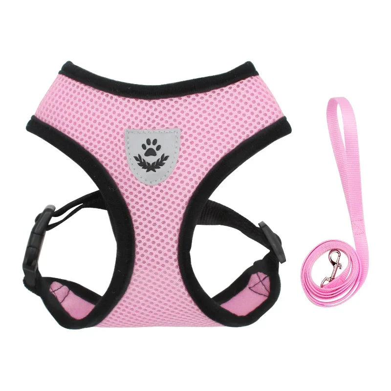 Adjustable Breathable Mesh Dog & Cat Harness with Leash