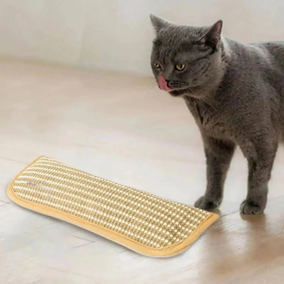 Eine graue Katze schaut auf ein beiges rechteckiges interaktives Kratzspielzeug auf einem Holzfußboden.