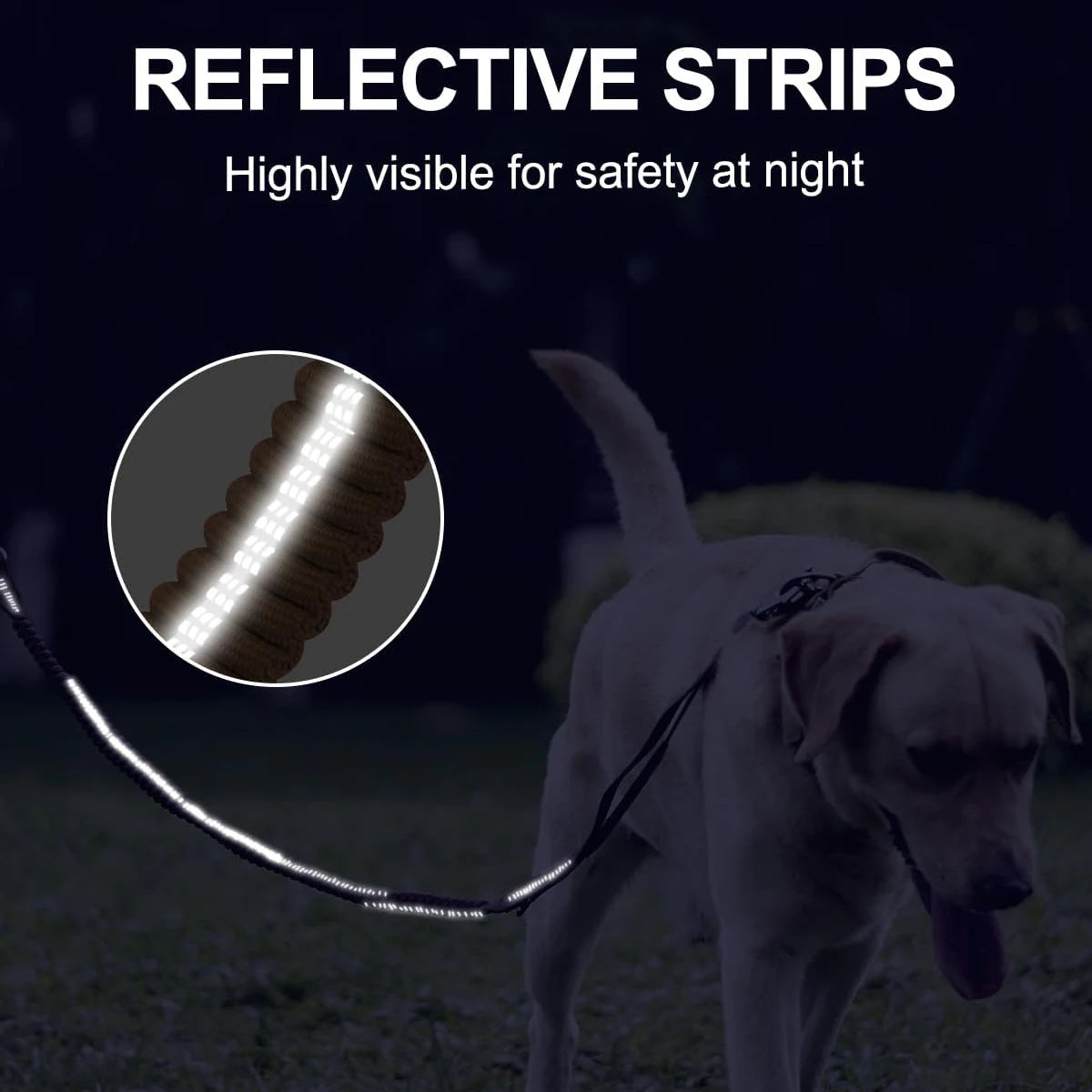 Reflective Bungee Dog Leash with Car Seatbelt Attachment for Large Dogs