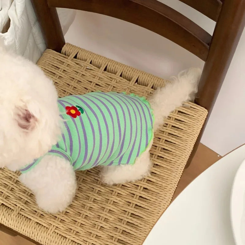 Ein weißer Hund liegt auf einer gewebten Matte und trägt ein grün-lila gestreiftes Kühlvest.