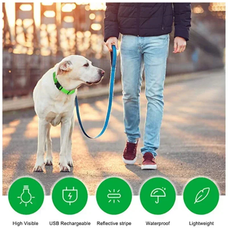 Wiederaufladbare LED-Hundehalsband für Nachtsicherheit
