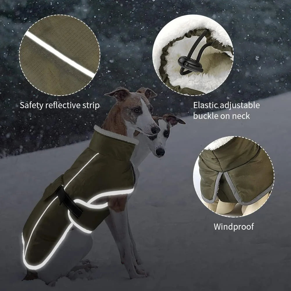 Reflective Winter Dog Coat with Insulated Lining
