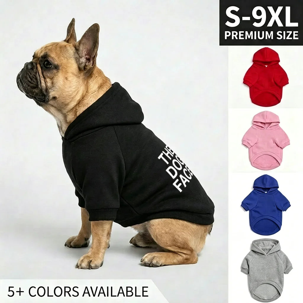 A fawn-colored dog wearing a black hoodie with white text sitting on a light background.