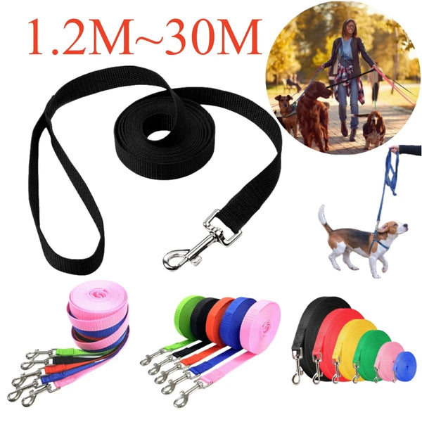 A collection of nylon dog leashes and collars in various colors and lengths, including a black leash, pink leashes, and color
