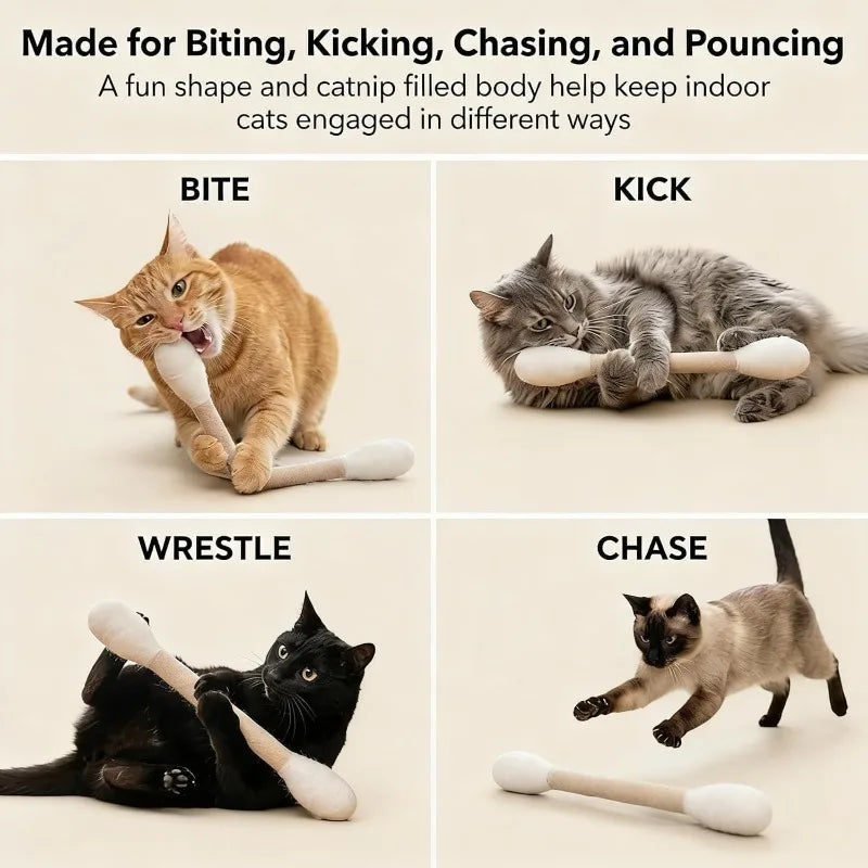 A cat is playing with an interactive wand toy, engaging in biting, kicking, chasing, and pouncing activities.